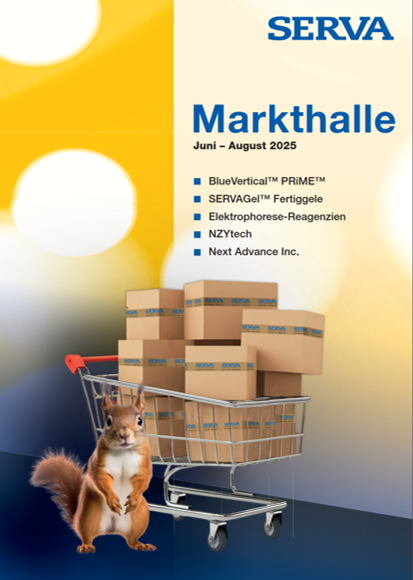 Markthalle 2 2025.png